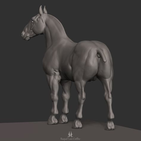 Horse - ZBrushCentral 3d Horse, Zbrush Models, Horse Coat Colors, Horse Anatomy, Digital Sculpting, Horse Drawing, Horse Sculpture, Horse Designs, Game Inspiration