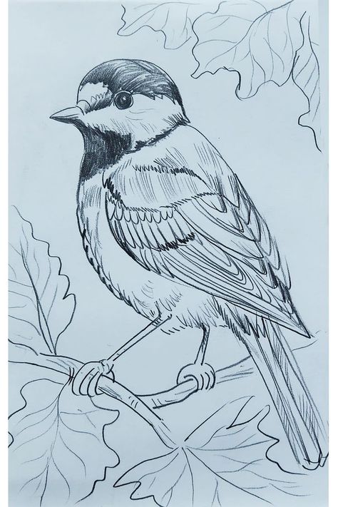 Drawing, Pencil Sketch, Sketching, Bird Drawing, Simple Bird Drawing, Shading Tutorial, Drawing Birds, Art Of Drawing, Easy Bird, Bird Shape, Pencil Sketching, Tutorial Drawing, Bird Drawing