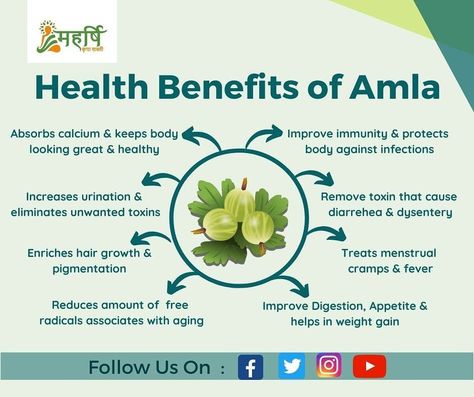 Do You Know that Amla (Indian Grossberry) can give you many health benefits ? Check out few of health benefits of including Amla in your daily diet. . . #homeremedies#amla#healthylife#health#kripashakti#healthyfood#grossberry#bodyfit#healthyroutine#naturalremedies#naturalmedicine #beautytips #remedy #herbalremedy #healthbenefits #diyremedies #naturalcure #remedies#vegan #healingwithfood #healthtips #healingfoods #healthiswealth #glowingskin #plantbaseddiet Fruit Skincare, Indian Gooseberry, Remove Toxins, Diy Remedies, Daily Diet, Vintage Pyrex, Pyrex Vintage, Free Consultation, Plant Based Diet