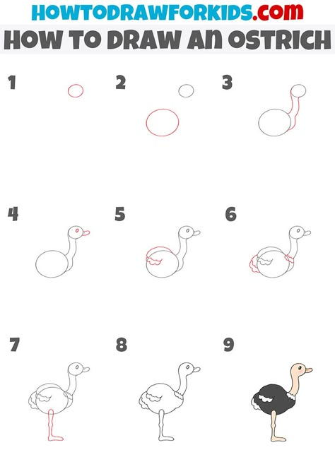 How To Draw An Ostrich, Ostrich Drawing Easy, Ostrich Drawing, Doodle Notebook, Easy Halloween Drawings, August Themes, Hard Drawings, Drawing Ideas For Kids