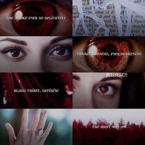 Vanshika Core, Twilight Renesmee, Twilight Core, Twilight Saga Books, Twilight Aesthetic, Bella Cullen, Twilight Edward, Twilight Film, Edward Bella