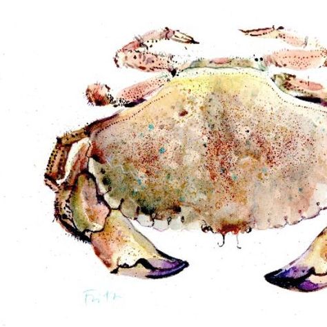 Blue Crab Watercolor, Coastal Autumn, Crab Watercolor, Crab Illustration, Crab Painting, Watercolor Horse Painting, Watercolor Mushroom, Boat Illustration, Blue Crabs