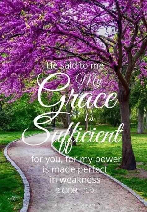 My Grace Is Sufficient, Gospel Quotes, Bible Verse Background, Wallpaper Iphonewallpaper, Bible Quotes Images, Special Prayers, Powerful Bible Verses, Healing Scriptures, Verses Wallpaper