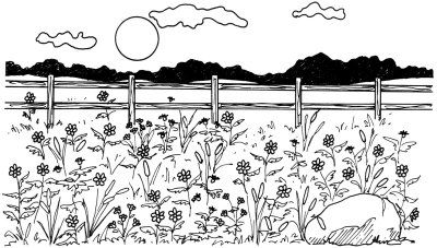 Flowers of all kinds flourish in a springtime field. With the simple instructions in this article, you can draw this pretty landscape in four steps. Flower Field Drawing, Field Drawing, Country Fences, Black Fence, Rustic Fence, A Field Of Flowers, Horizontal Fence, Old Fences, Front Yard Fence