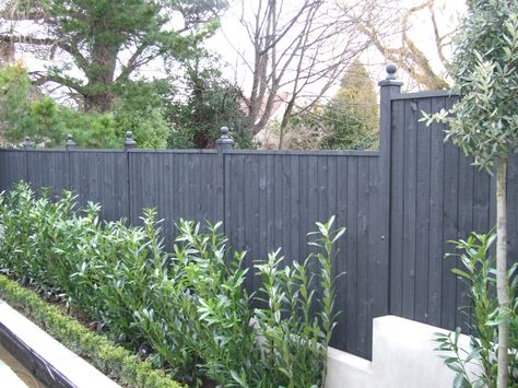 Painting your fencing can create a beautiful canvas to showcase your planting. Monument Fence, Garden Fence Paint, Small Garden Fence, Fence Paint Colours, Patio Pergola, Hedging Plants, Green Fence, Fence Plants, Timber Fencing