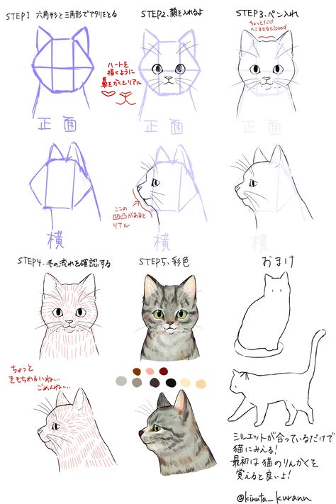 Drawing Tutorial Cat, Cat Eye Drawing, Cat Drawing Sketches, Cat Hand Drawing, Cat Drawings Simple, How To Draw Cats, Drawing Ideas Cute, Cat Drawing Ideas, Draw Cats