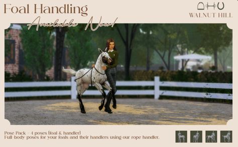 Sims 4 Equestrian Clothes, Sims 4 Equestrian Cc, Sims 4 Horse Cc, Sims Horses, Equestrian Events, Free Sims 4, Free Sims, Sims 4 House Design, English Riding