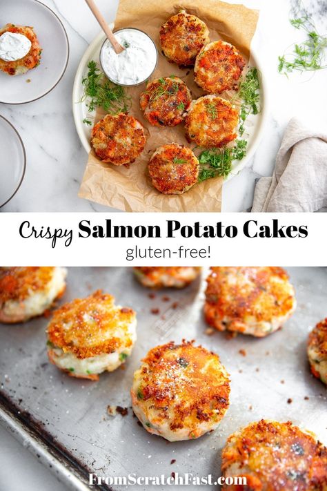 Potato Salmon Cakes with Creamy Yogurt Sauce Salmon Potato Cakes, Salmon Fish Cakes, Yogurt Dill Sauce, Gluten Free Salmon, Potato Cakes Recipe, Crispy Salmon, Flaked Salmon, Creamy Yogurt, Salmon Potato