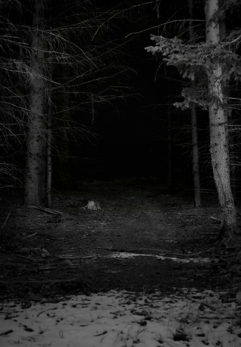 Follow @inquiet-dark and get more of the good stuff by joining Tumblr today. Dive in! The Woods At Night, Woods At Night, Story Prompt, Darkness Falls, Dark Places, Dark Photography, Dark Night, White Photo, Dark Forest