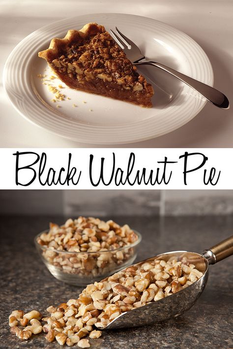 Black Walnut Pie, Black Walnut Desserts, Walnut Pie Crust Desserts, Walnut Cream Pie, Walnut Pie Recipe Easy, Black Walnut Pie Recipe, English Walnut Pie, Black Walnut Recipes, Maple Walnut Pumpkin Pie