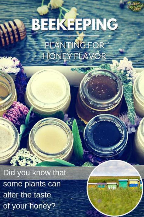 Planting a Honey Bee's Flower Garden | Kellogg Garden Organics™ Honey Bee Flowers, Honey Bee Garden, Tupelo Tree, Homestead Gardening, Homestead Animals, Homesteading Animals, Witchy House, Sustainable Gardening, Herb Garden Design