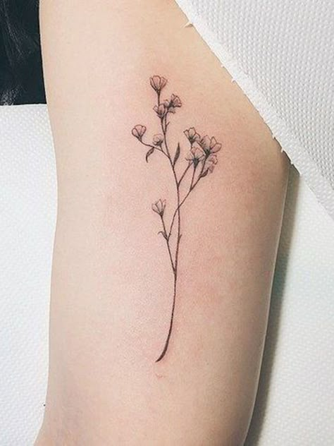 14 Delicate Flower Tattoos That Aren't Naff Wildflowers Tattoo, Delicate Flower Tattoo, Small Flower Tattoos, Delicate Tattoo, Botanical Tattoo, Subtle Tattoos, Flower Tattoo Designs, Nature Tattoos, Popular Tattoos