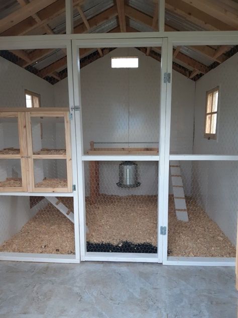 Diy Chicken Coop Ideas For Winter, Shed Coop Ideas, Half Shed Half Chicken Coop, Chicken Coop Shed Interior, Chicken Coop In Shed, Tuff Shed Chicken Coop, Chicken Coop Storage Ideas, Shed Chicken Coop Ideas, Shipping Container Chicken Coop