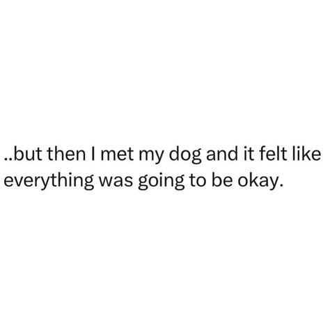 🐾 And so it was ❤️ #doglover #doglove #dogquotes Dog Best Friend Quotes Love, My Dog Saved Me Quotes, Dog Happiness Quotes, Pet Quotes Love, Dog Tattoo Quotes, Dog Sitter Quotes, Dog Mom Captions Instagram, Dogs Quotes Love, Dog Parents Quotes