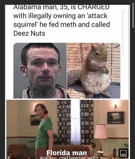 So funny Florida Funny, Florida Man, Deez Nuts, Quality Memes, Crazy Funny Memes, Really Funny Memes, Funny Tweets, Super Funny, Funny Laugh