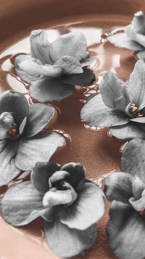 Wallpaper Aesthetic Coffee, Era Victoria, Wallpaper Macbook, Vintage Flowers Wallpaper, Blue Aesthetic Pastel, Phone Screen Wallpaper, Flower Iphone Wallpaper, Aesthetic Coffee, Flower Phone Wallpaper