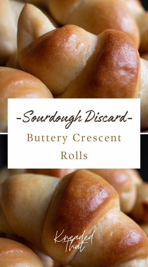 Sourdough Dinner Rolls, Easy Crescent Rolls, Homemade Crescent Rolls, Recipe Using Sourdough Starter, Sourdough Rolls, Sourdough Bread Starter, Sourdough Starter Discard Recipe, Homemade Sourdough Bread, Bread Starter