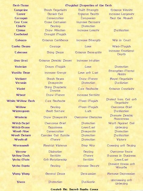 correspondences, witchery, witchcraft, tools, magick, herbs, herbal - Pinned by The Mystic's Emporium on Etsy Magick Herbs, Witchcraft Tools, Magickal Herbs, Witch Herbs, Magia Das Ervas, Magic Herbs, Kitchen Witchery, Magical Herbs, Book Of Shadow