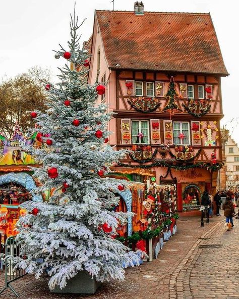 Strasbourg, France Beau Gif, Christmas In Europe, French Christmas, Alsace France, Strasbourg France, Real Christmas, Christmas Town, Light Night, Christmas Villages