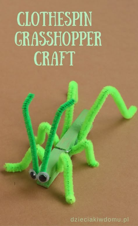 Vbs 2025 Magnified Crafts, Grasshopper Craft, Vbs Magnified, 2nd Grade Crafts, 4h Projects, Toddler Teacher, Insect Crafts, Vbs Themes, Bug Crafts