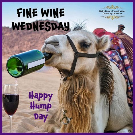 Fine Wine Wednesday!! Have an awesome day ❤️🌻😎🌻❤️ 



.
#RiseAndShine #MorningVibes #NewDayNewOpportunities #MorningInspiration #EarlyBirdGetsTheWorm #CoffeeTime #DailyDoseofInspiration #QuotesByCatherine #BOOMchallengeb; Wednesday Funny, Wednesday Sayings, Funny Wednesday, Inspiring Verses, Wednesday Hump Day, Wednesday Morning Quotes, Hump Day Humor, Monday Morning Quotes, Wednesday Humor