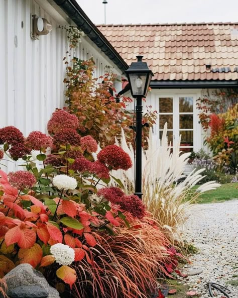 White Picket Fence Ideas, Burgundy Garden, Picket Fence Ideas, Fall Landscaping, Fence Designs, Garden Design Plans, White Picket Fence, Have Inspiration, Forest Garden