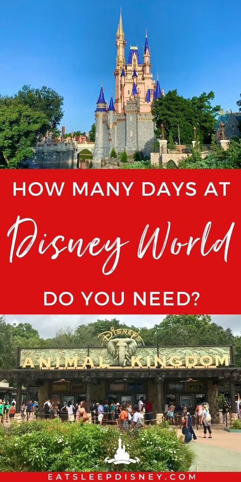 How Many Days Do You Need at Disney World in 2024?  You’ve done your research on the best restaurants, read up on all the must-do attractions in the theme parks, and decided when you want to visit Walt Disney World, but there’s still one major question to answer – how many days should your vacation be? And, you might be surprised by how difficult it can be to decide! 6 Day Disney World Itinerary, Best Time To Go To Disney World, 1 Day In Disney World Best Route, Best Days To Visit Each Disney Park, Magic Kingdom One Day Itinerary, Disney Golf, Disney World Honeymoon, Disney World Attractions, Disney Rides