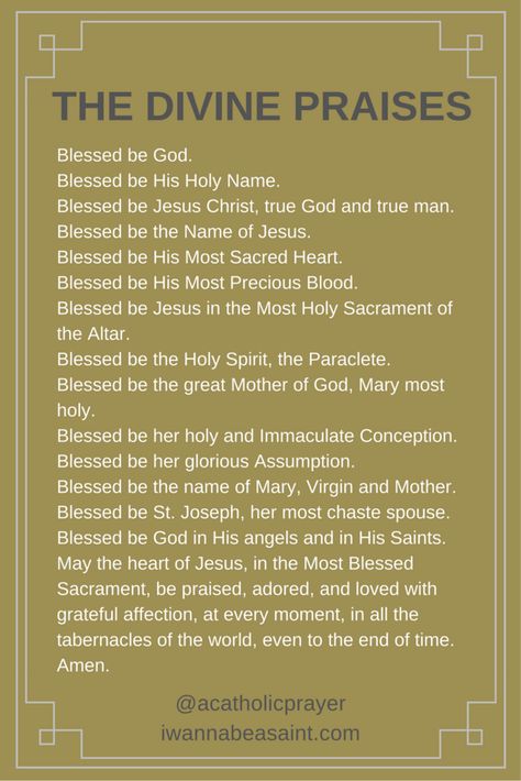 Divine Praises, Adoration Catholic, Prayer Of Praise, Prayer For Church, Eucharistic Adoration, Blessed Is She, Blessed Be, Blessed Mother Mary, Catholic Quotes