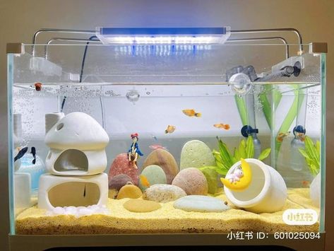 Marimo Tank Ideas, Pastel Fish Tank, Pink Fish Tank, Aesthetic Fish Tank, Cute Fish Tank Ideas, Cute Aquarium, Unique Fish Tanks, Indoor Rabbit Cage, Axolotl Tank