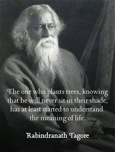 "The one who plant trees knowing that he will never sit in their shade...." - Rabindranath Tagore Tagore Quotes, Philosophy Quotes, Meaning Of Life, Quotable Quotes, A Quote, Wise Quotes, Meaningful Quotes, Great Quotes, Wisdom Quotes