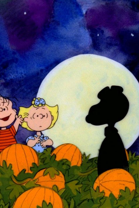 When Is It's the Great Pumpkin, Charlie Brown on TV? Family Friendly Halloween Movies, The Great Pumpkin Charlie Brown, It's The Great Pumpkin Charlie Brown, Charlie Brown Thanksgiving, Halloween Episodes, Great Pumpkin Charlie Brown, Best Halloween Movies, It's The Great Pumpkin, Charlie Brown Halloween