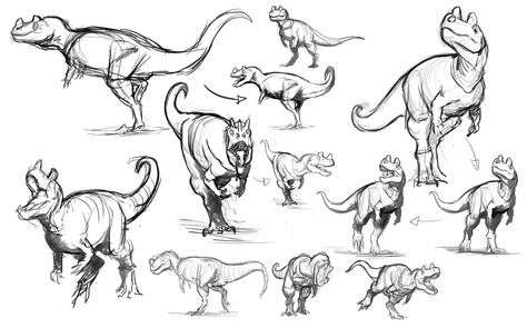 Dinosaur Anatomy, Drawing Dinosaurs, Dinosaur Sketch, Dinosaur Images, Dinosaur Drawing, Dinosaur Pictures, Dinosaur Illustration, Ancient Animals, Paleo Art