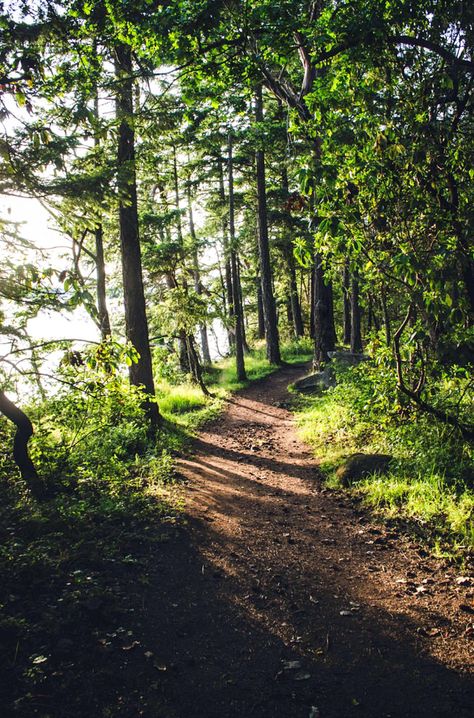 West coast path (Vancouver Island, BC) by DeepLovePhotography cr.c. Path In The Woods, Side Road, Image Nature, Country Side, Walk In The Woods, Jolie Photo, Alam Yang Indah, Into The Wild, Into The Woods