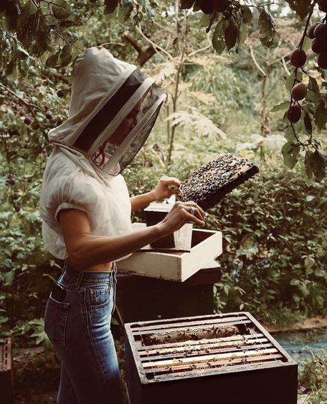 Negin Mirsalehi, Bee House, Bee Farm, Bee Keeper, Bee Garden, Dressage Horses, Off Grid Living, Camping Survival, Secret Life