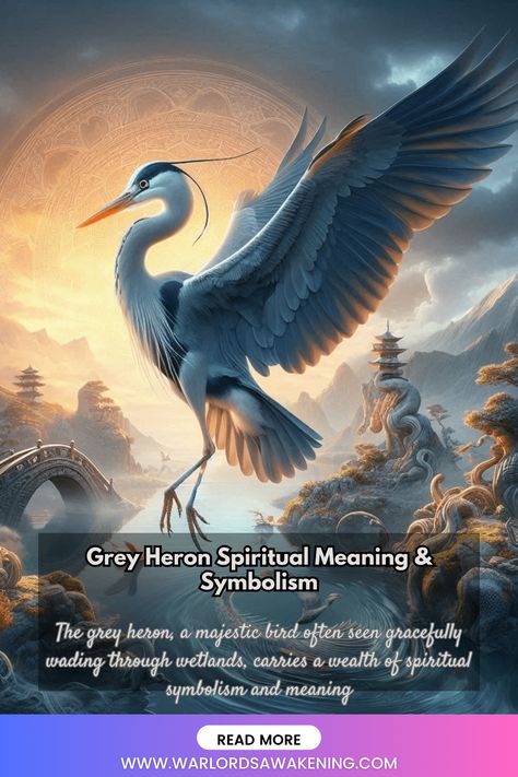 The grey heron, a majestic bird often seen gracefully wading through wetlands, carries a wealth of spiritual symbolism and meaning Heron Spiritual Meaning, Grey Heron, Your Spirit Animal, Dream Meanings, Art And Literature, Spiritual Symbols, Native American Tribes, Spiritual Meaning, The Grey