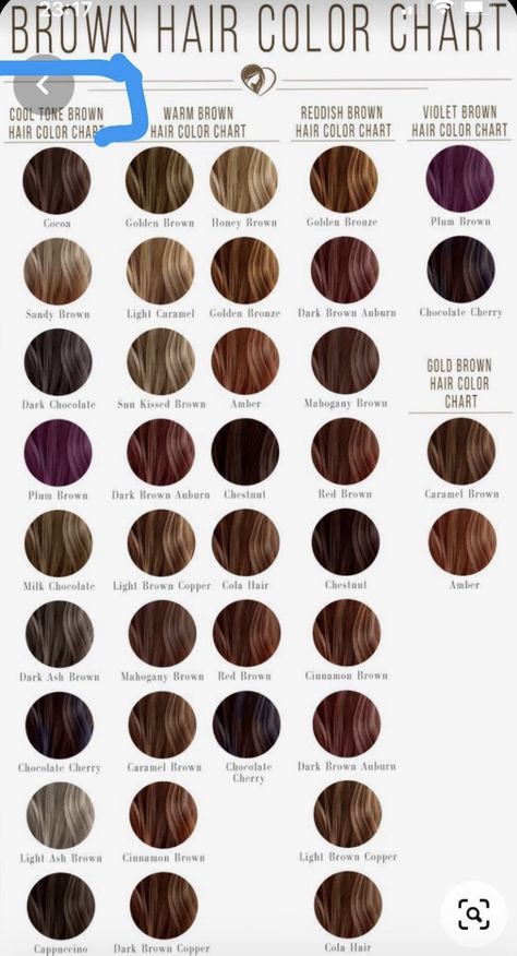 Brown Hair Color Chart, Brown Hair Shades, Brown Hair Color, Hair Color Chart, Fall Hair Trends, Fall Hair Color For Brunettes, Dark Brown Hair Color, Blonde Hair Shades, Summer Hair Color For Brunettes