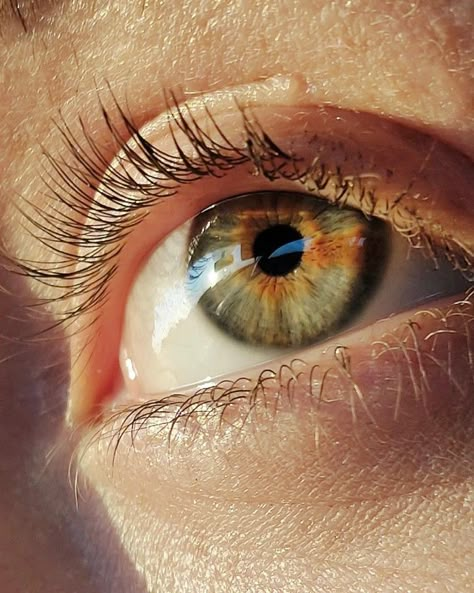 Realistic Eye Reference, Eye Model, Eyes Photography, Eye Reference Photo, Angel Sculpture Art, Beautiful Eyes Color, Eye Close Up, Eyeball Art, Reference Photos For Artists