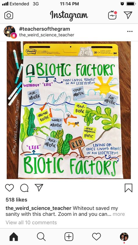 Teaching Ecosystems, Classroom Management Songs, Sixth Grade Science, Makerspace Ideas, Fourth Grade Science, Middle School Science Classroom, Science Anchor Charts, Science Classroom Decorations, Biology Classroom