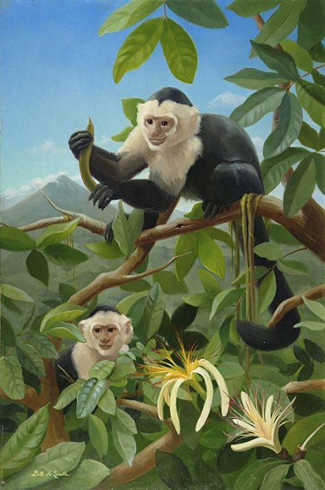 Costa Rica Painting, Monkey Painting Ideas, Monkey Aesthetic, Acrylic Monkey Painting, Costa Rican Animals, Costa Rica Monkeys, Paint Monkey, Fabric Colour Painting, Costa Rica Animals