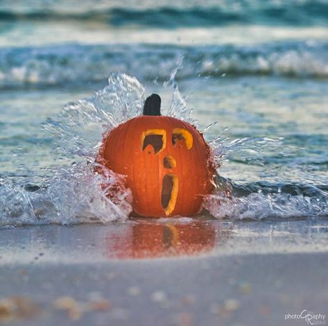 Beach Halloween Pictures, Beach Pumpkin Carving, October At The Beach, Pumpkins On The Beach, Florida Halloween, Beach Thanksgiving, Coastal Pumpkins, Beach Halloween, Fall Aesthetics