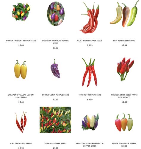 Ornamental Peppers Seeds Pepper Recipes, Hot Sauces, Pepper Seeds, Peppers Recipes, Vegetable Gardening, Salsa Recipe, Hot Sauce, Vegetable Garden, Beautiful Gardens