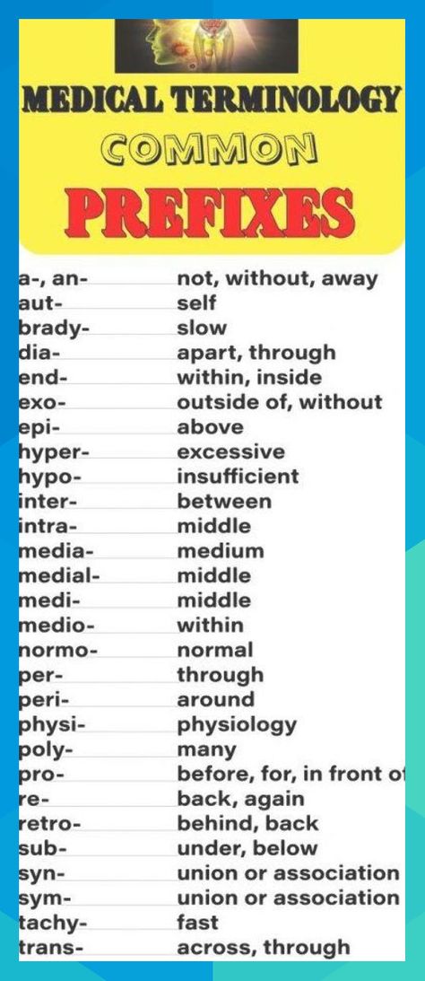 Medical terminology can be a lot to learn. However, building a substantial medical vocabulary will help with your studies of disease processes and also help with learning basic skills. Prefixes are used at the beginning of a word to modify or vary the meaning of the word.  Follow our medical terminology series at  #studentnurse #nursingschool #nursingstudent #nurse #medicalterminology #nursecepts #keanu61667 Prefixes Worksheet, Medical Vocabulary, Medical Assistant School, Emt Study, Medical Terminology Study, Medical Assistant Student, Medical School Life, Adolescent Health, Medical Student Study