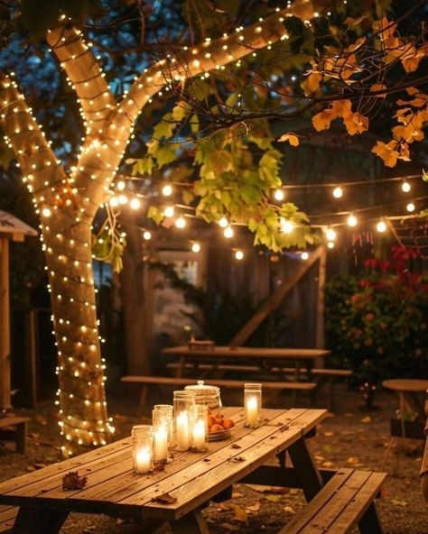 Outdoor Garden Dining Area, Garden Ceremony Wedding, Wedding Lighting Ideas, Budget Friendly Lighting, String Lighting, Space Lighting, Diwali Lights, Outdoor Fairy Lights, Patio String Lights