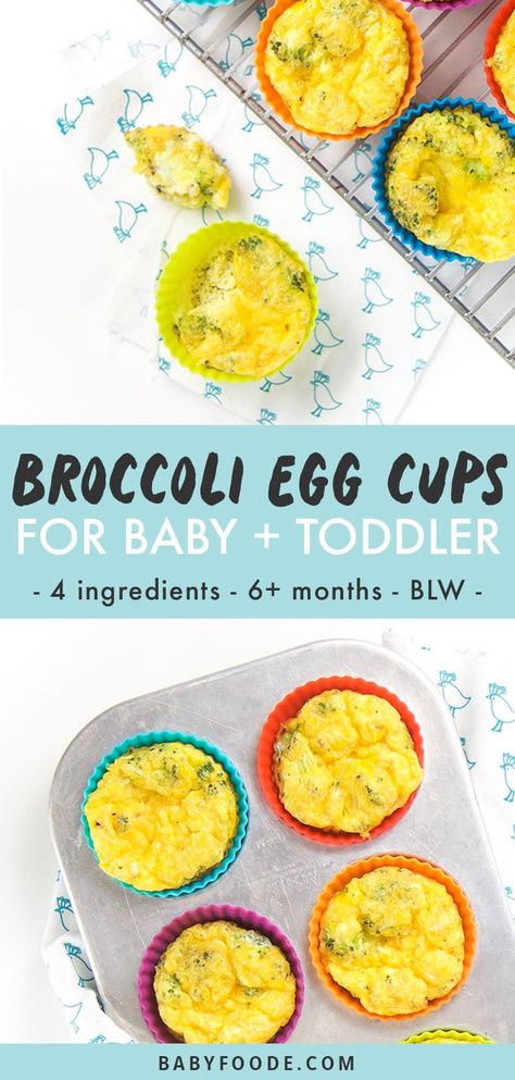 These Broccoli Egg Cups are a great on-the-go breakfast option for baby and toddler! These savory breakfast cups are filled with protein rich eggs, shredded cheese and nutrient dense broccoli. Serve warm at the breakfast table or packed cold for a morning playdate or school lunch. Great for baby-led weaning, the finger food stage as well as toddlers and kids alike. #babyledweanging #babybreakfast #toddlerbreakfast Broccoli Cups, Fingerfood Baby, Weaning Baby, Baby Muffins, Baby Breakfast, Egg Food, Easy Baby Food Recipes, Toddler Breakfast, Baby Led Weaning Recipes