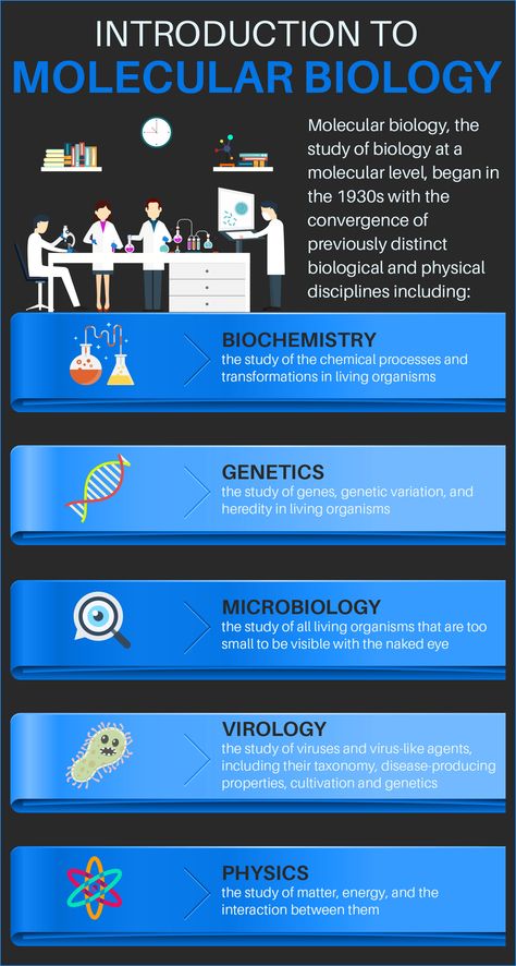 Molecular Cell Biology, Molecular Biology Lab Aesthetic, Research Lab Aesthetic, Biotechnology Wallpapers, Molecular Biology Aesthetic, Molecular Biology Art, Genetics Aesthetic, What Is Biology, Cell And Molecular Biology