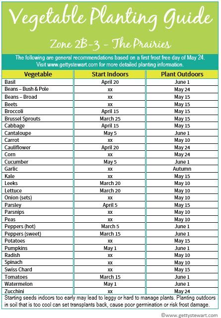 Garden Timeline Seed Starting, When To Start Your Garden, Planting Times For Vegetables, Planting A Garden For Beginners, Gardening Timeline, Planting Timeline, Planting Vegetables For Beginners, How To Start A Garden For Beginners, Garden Timeline