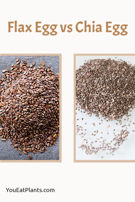 Are you considering replacing traditional eggs with an egg alternative but are unsure which one to go for? Look no further than a comparison of flax eggs and chia eggs! Both flax and chia eggs are vegan alternatives that can be used to replace traditional eggs in a variety of recipes, but what makes them different from each other and which one is the better choice? Read on to find out which egg alternative is most suitable for your needs. Chia Vs Flax Seed, Chia Eggs, Flax Seed Egg, Vegan Fudge Recipes, Egg Substitutes, Flax Eggs, Soak Chia Seeds, Egg Alternatives, Chia Egg