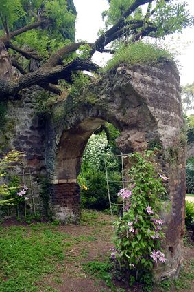 Real Life Fairies, Garden Of Earthly Delights, Faeries Gardens, Garden Drawing, Garden Terrarium, Fairy Land, Fairy Houses, Garden Gates, Small Garden