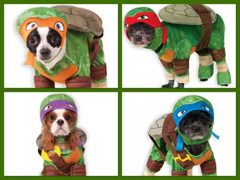 Teenage Mutant Ninja Turtle Pet Costumes, Dog Turtle Halloween Costumes Turtle Pet, Teenage Mutant Ninja Turtles Costume, Ninja Turtle Hat, Turtle Costumes, Turtle Tots, Ninja Turtles Funny, Turtle Party, Tmnt Artwork, Halloween Costumes Friends