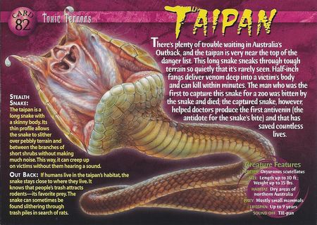 Taipan Snake, Animal Knowledge, Mythology Creatures, Dangerous Creatures, Trench Knife, Venomous Snakes, Long Snake, Adventure Magazine, Baby Animals Pictures